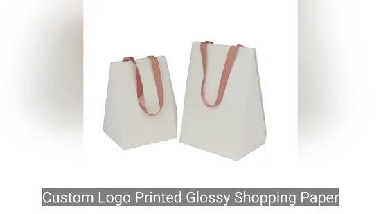 Fancy Paper Matt Black Paper Bag with Silk Handle
